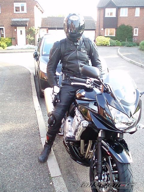2008 SUZUKI BANDIT 1200 | Picture 1296702 motorcycle photo