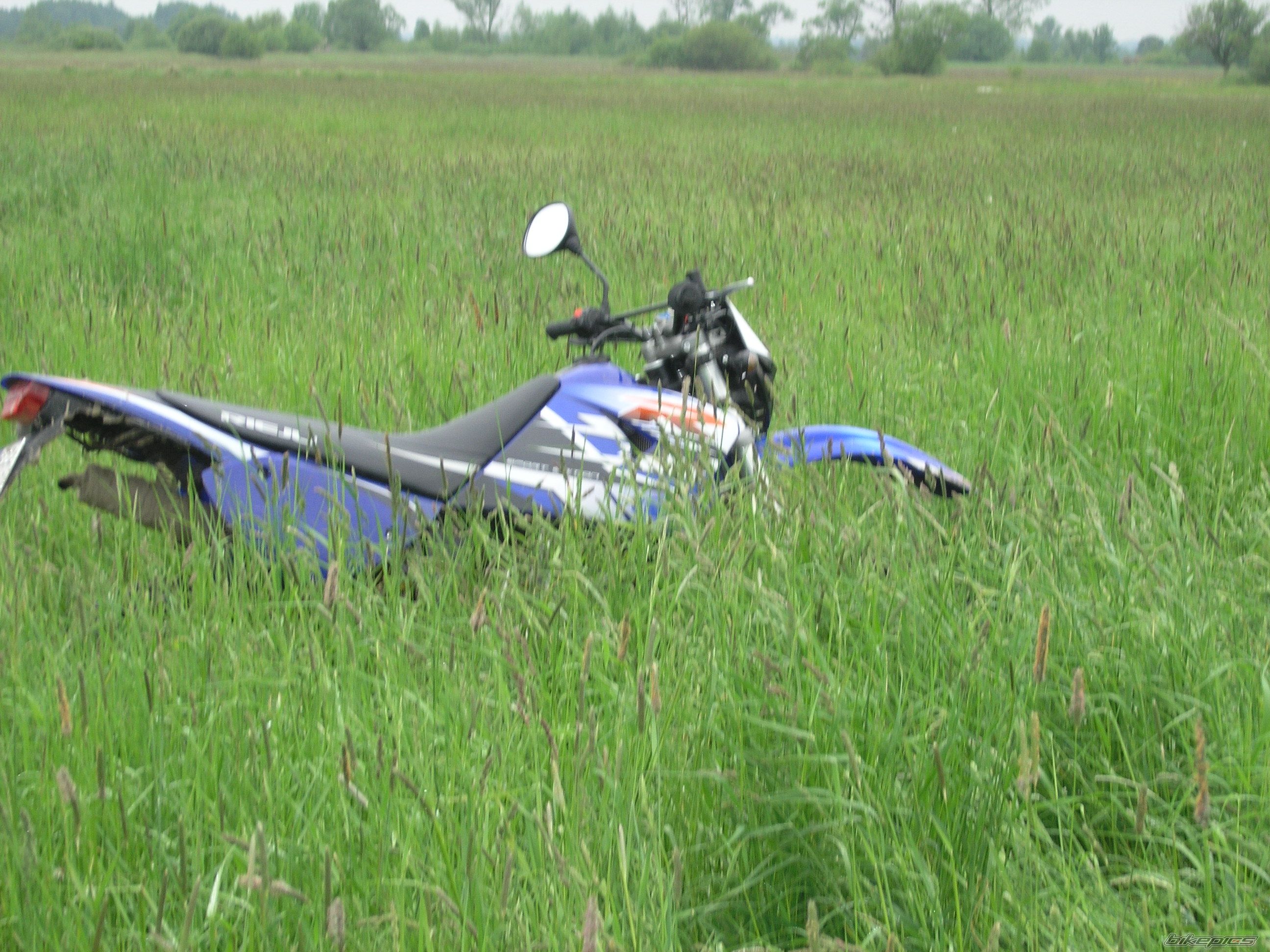 2006 RIEJU RR 50 | Picture 1297121 motorcycle photo