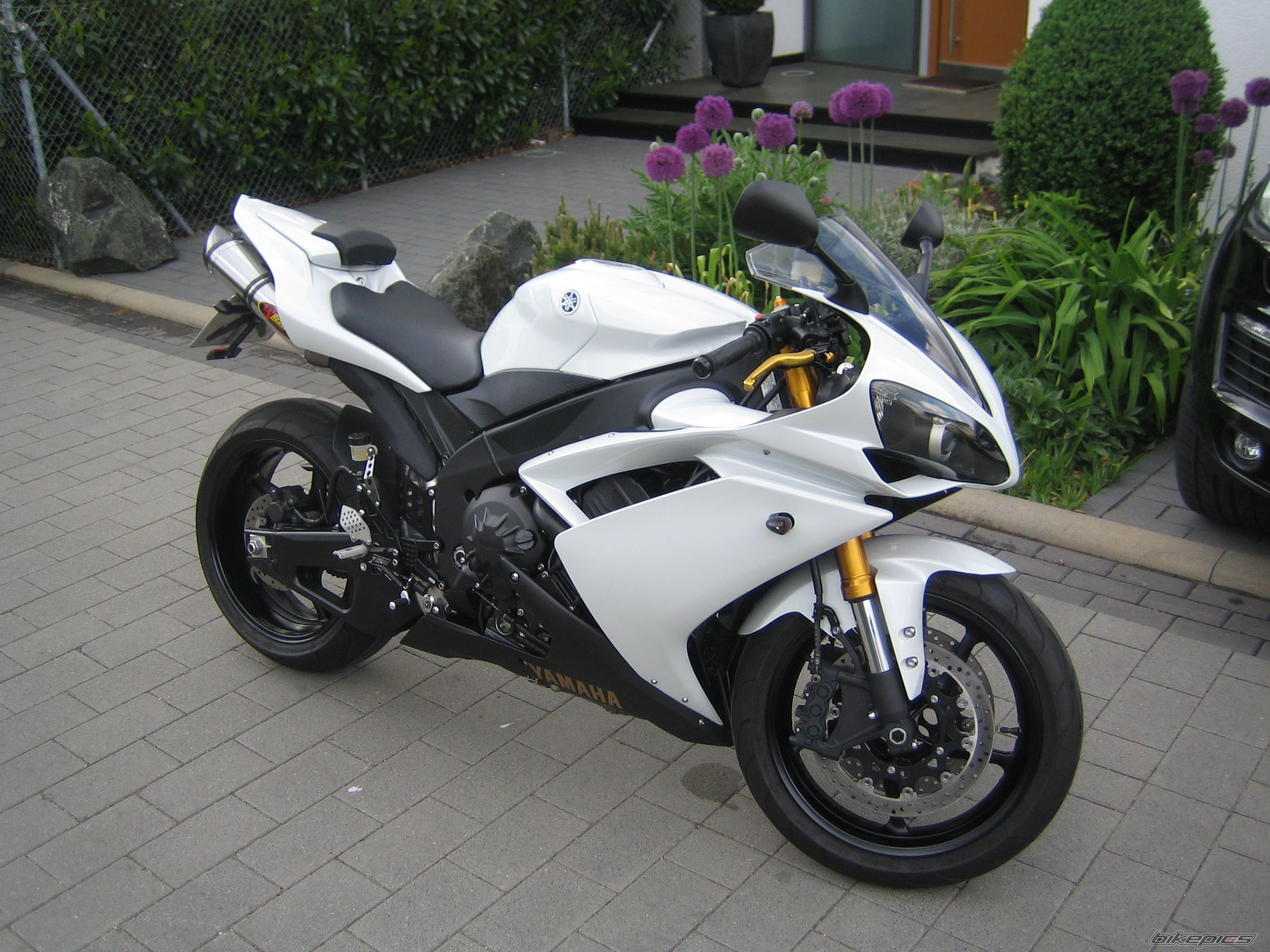 2007 YAMAHA YZF R1 | Picture 1297317 motorcycle photo