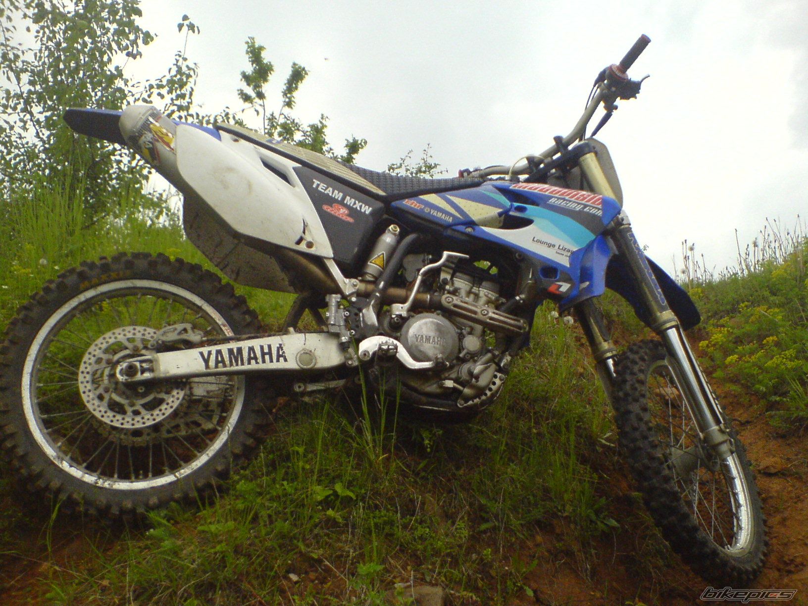 2005 YAMAHA YZ 250F | Picture 1297388 motorcycle photo