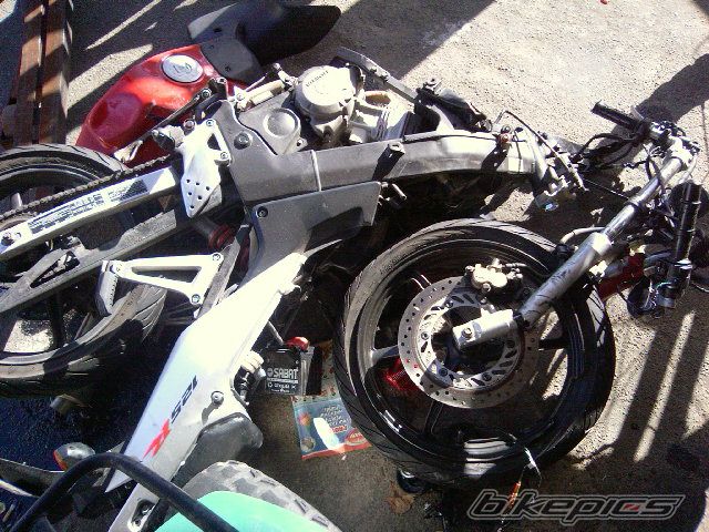2008 SUZUKI GSXR | Picture 1297787 motorcycle photo