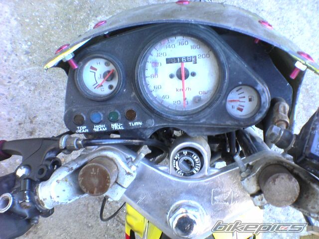 2000 HONDA NOVA DASH 125 | Picture 1298190 motorcycle photo