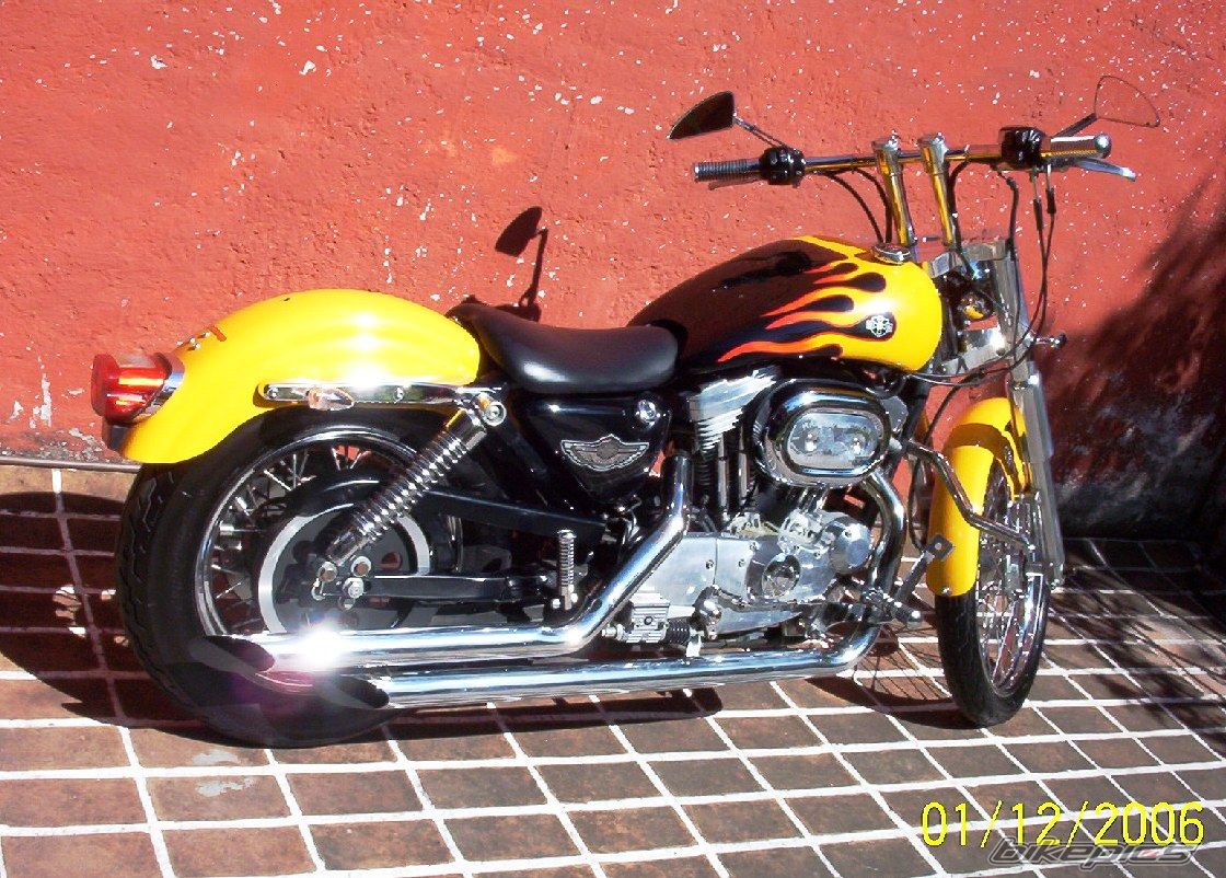2001 HARLEY DAVIDSON CUSTOM | Picture 1298261 motorcycle photo
