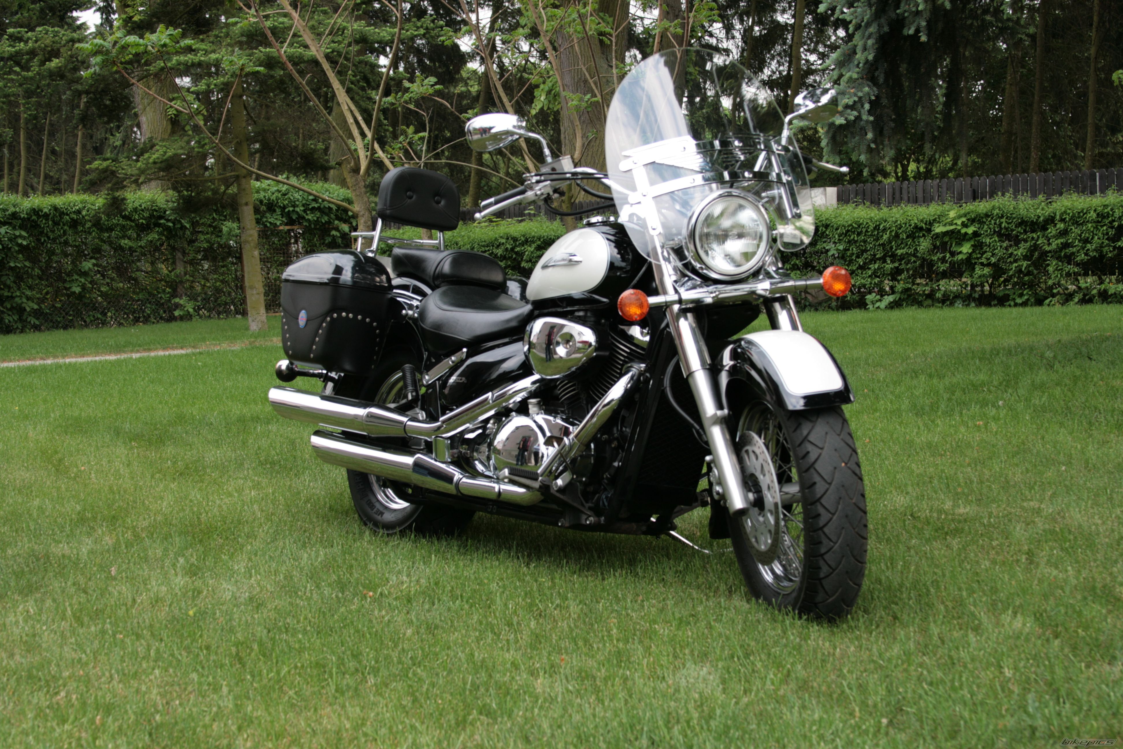 2001 SUZUKI VOLUSIA | Picture 1298290 motorcycle photo