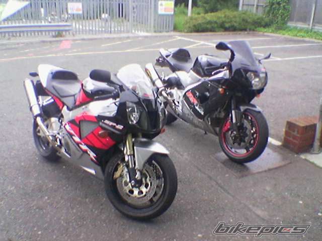    | Picture 1298366 motorcycle photo