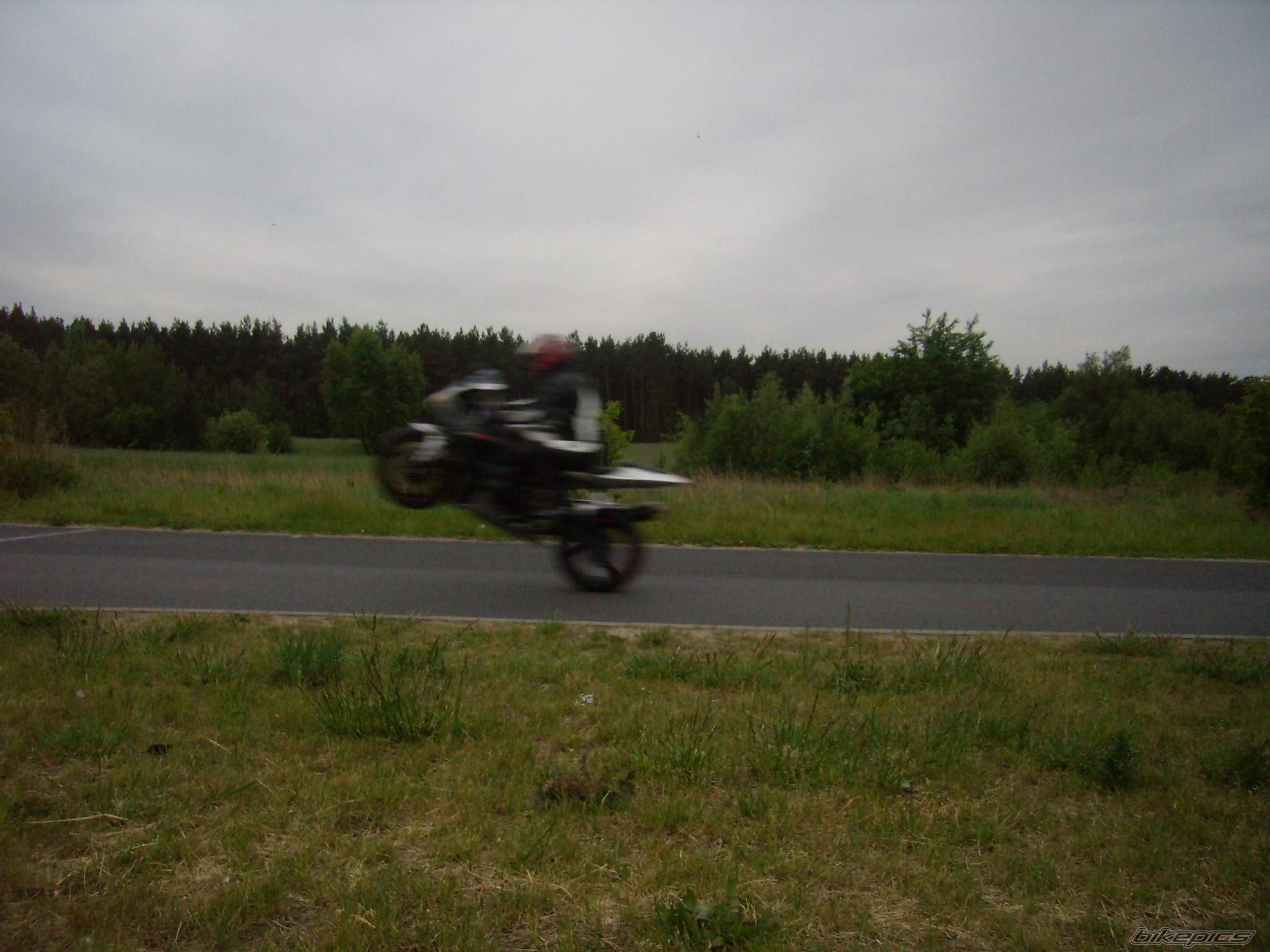 2003 YAMAHA YZF R1 | Picture 1298482 motorcycle photo