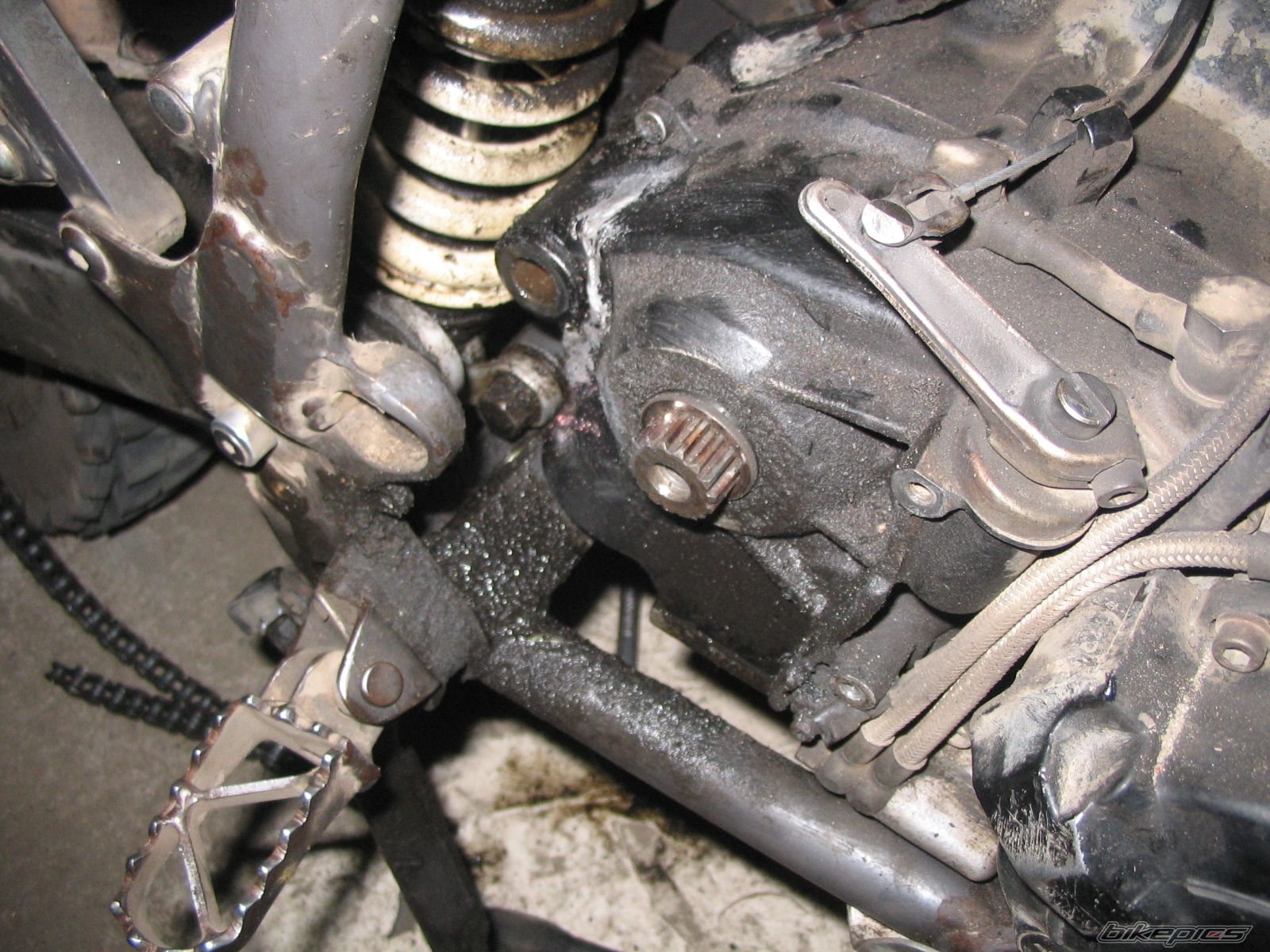    | Picture 1298484 motorcycle photo