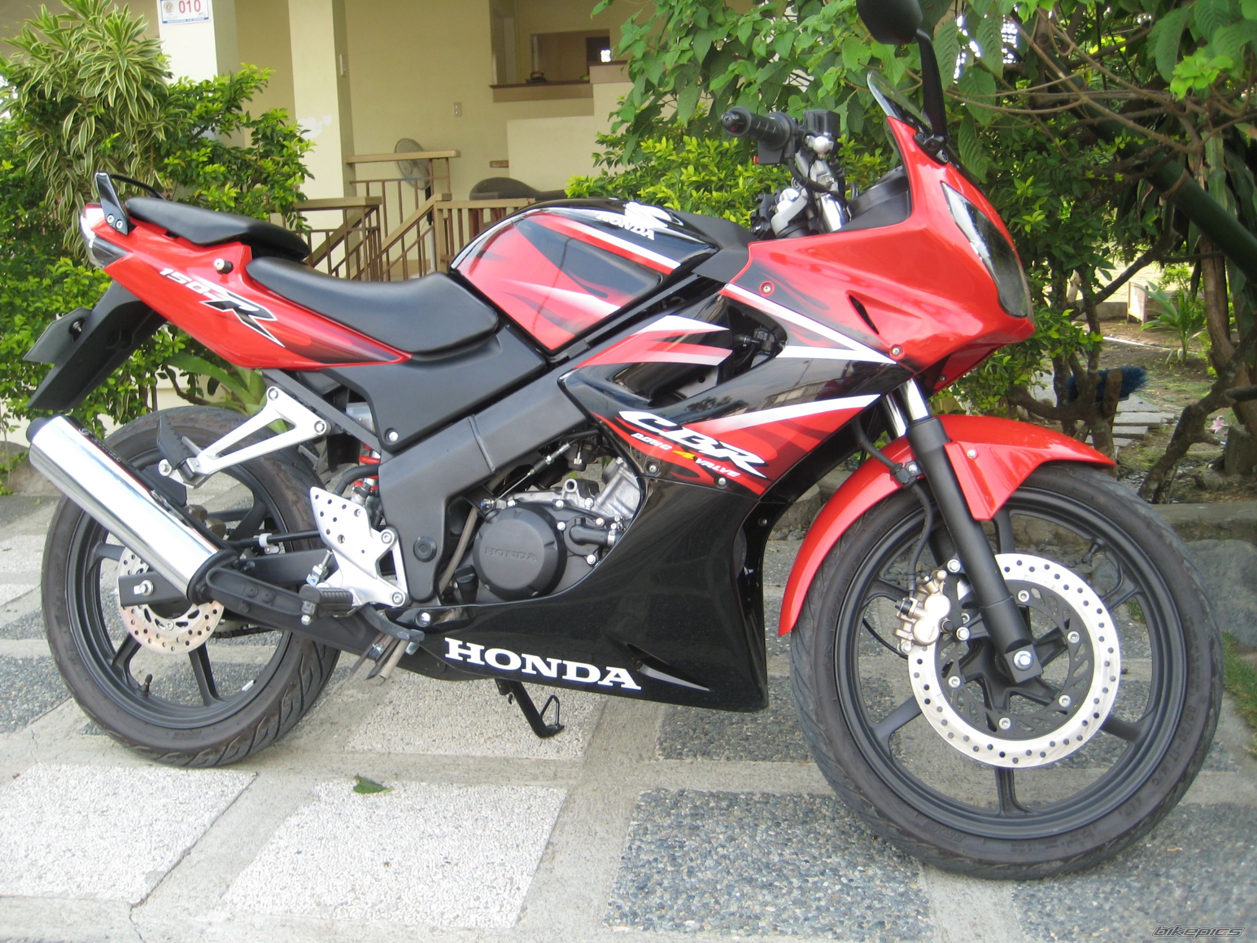 2008 HONDA CBR 150 | Picture 1299590 motorcycle photo