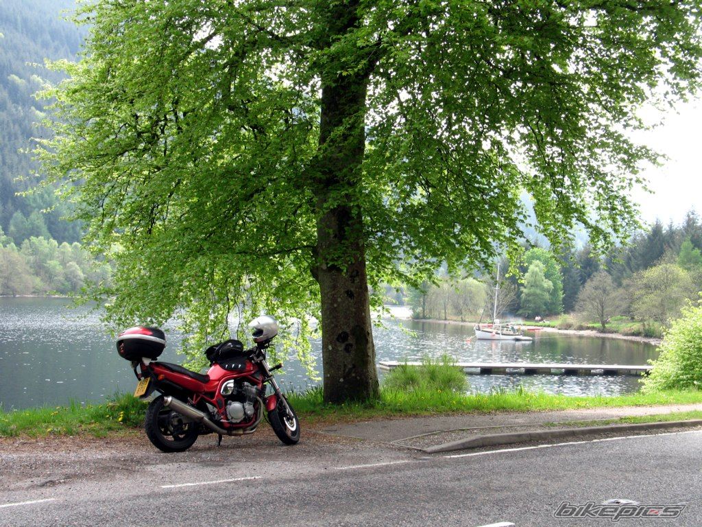    | Picture 1300222 motorcycle photo