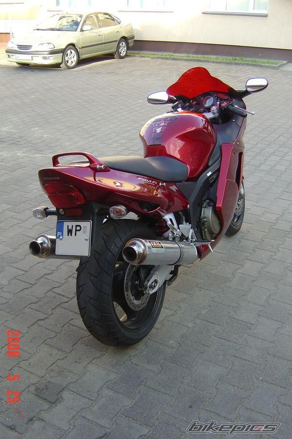 2008 HONDA CBR 1100 BLACKBIRD | Picture 1300565 motorcycle photo
