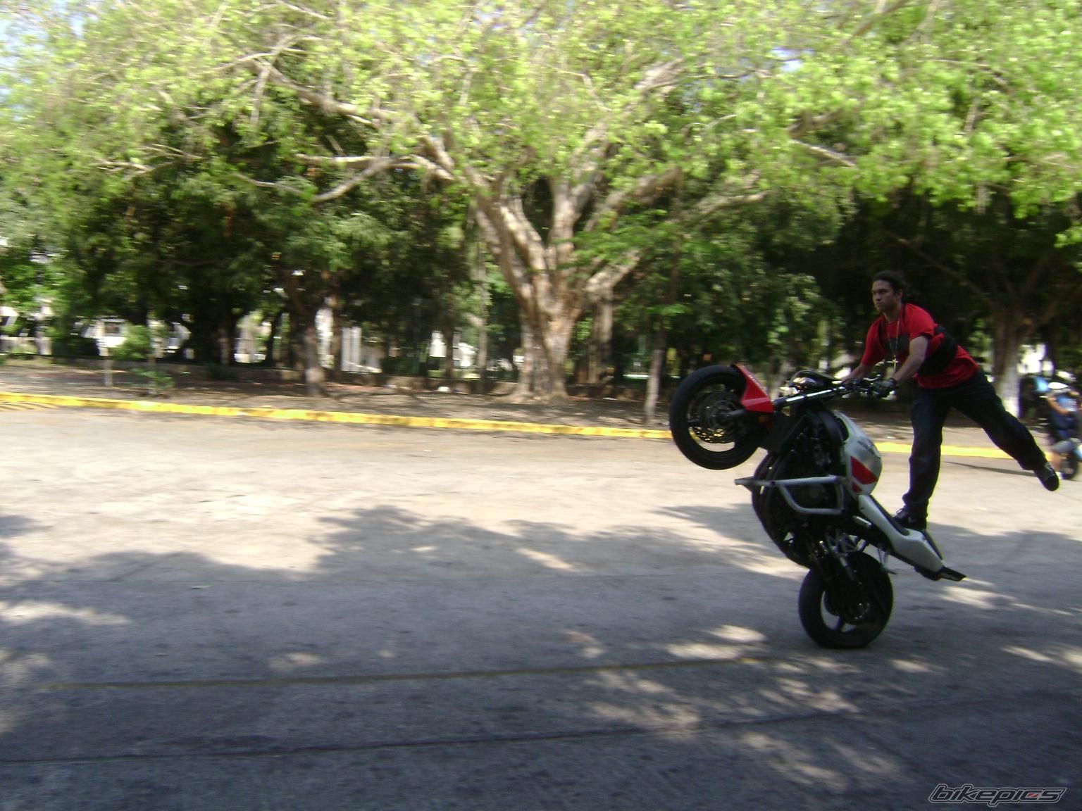2002 HONDA CBR 600 | Picture 1301067 motorcycle photo