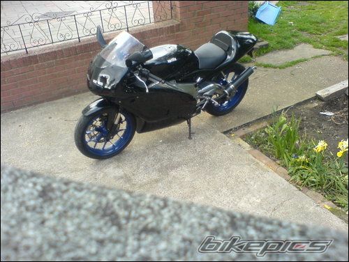    | Picture 1301846 motorcycle photo