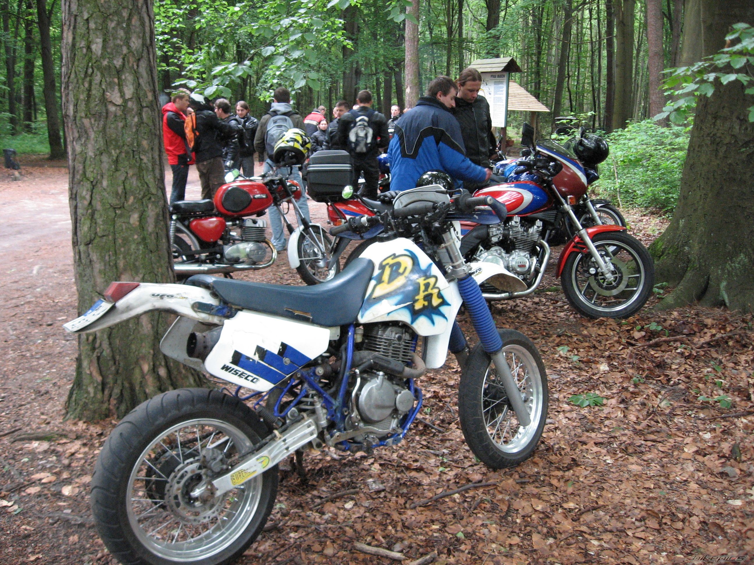    | Picture 1302094 motorcycle photo