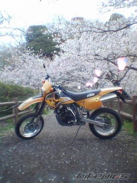 1997 KTM 400 LC4 | Picture 130216 motorcycle photo