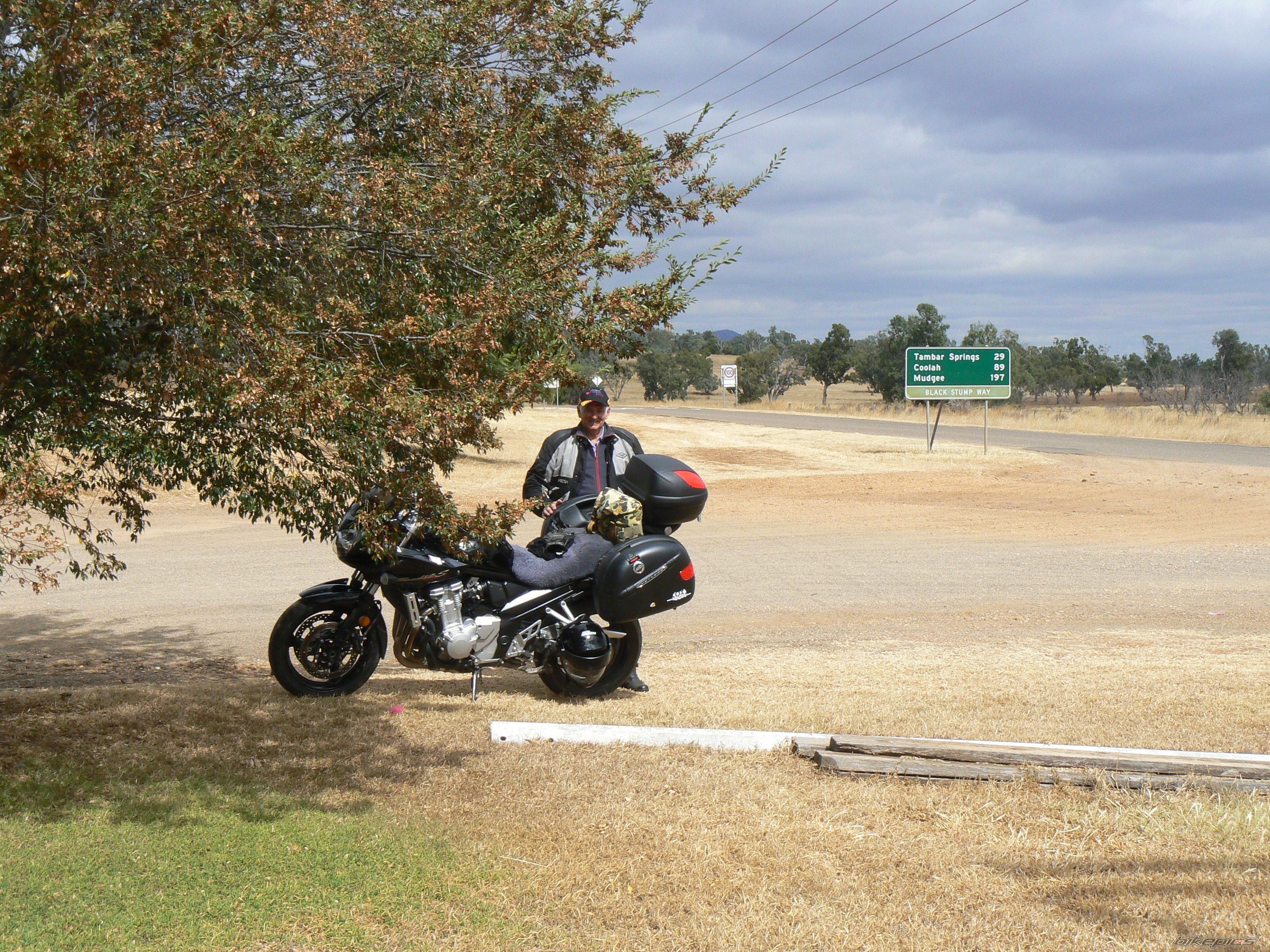 2007 SUZUKI BANDIT 1200S | Picture 1302494 motorcycle photo