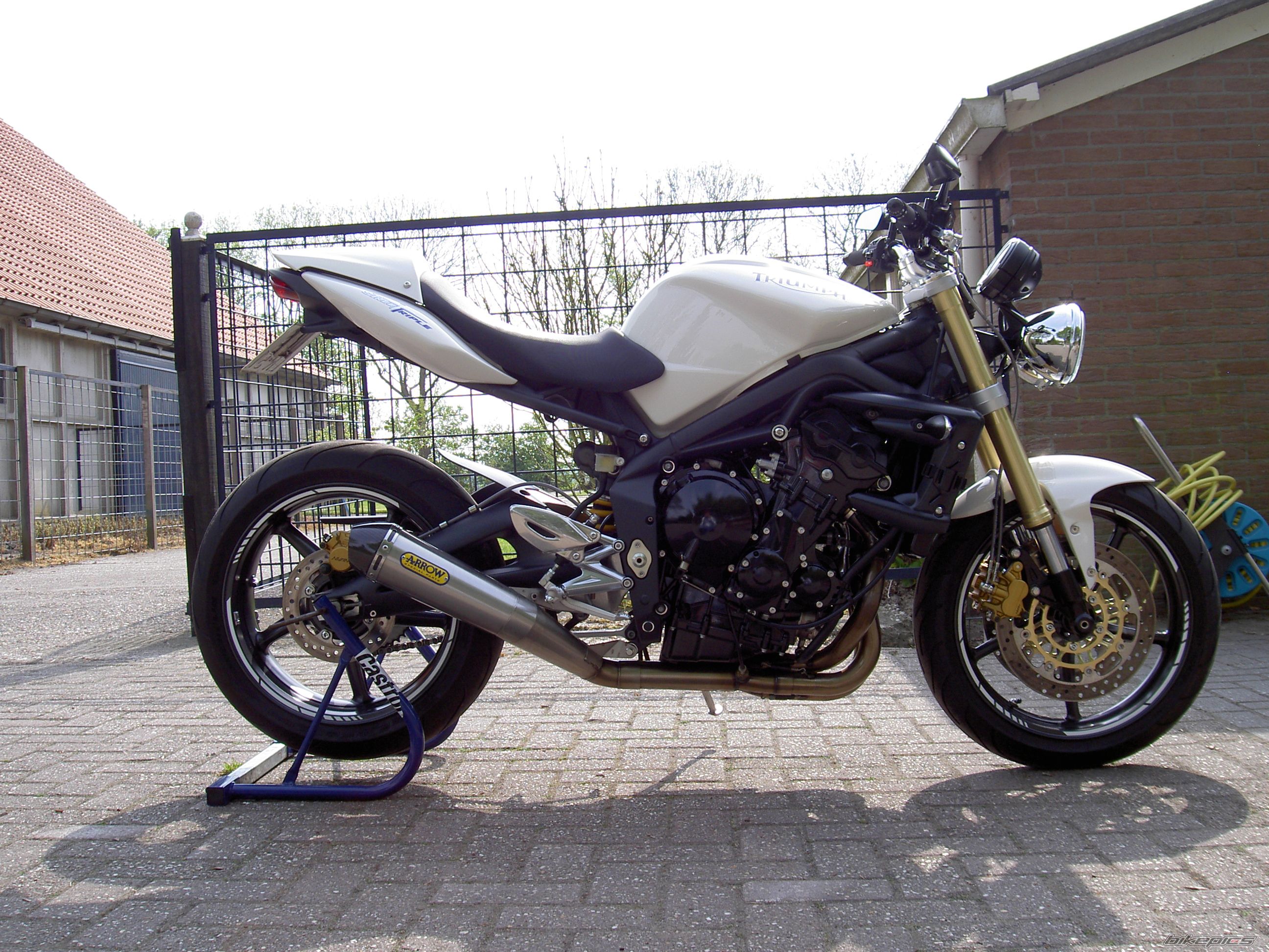 2008 TRIUMPH SPEED TRIPLE | Picture 1302821 motorcycle photo