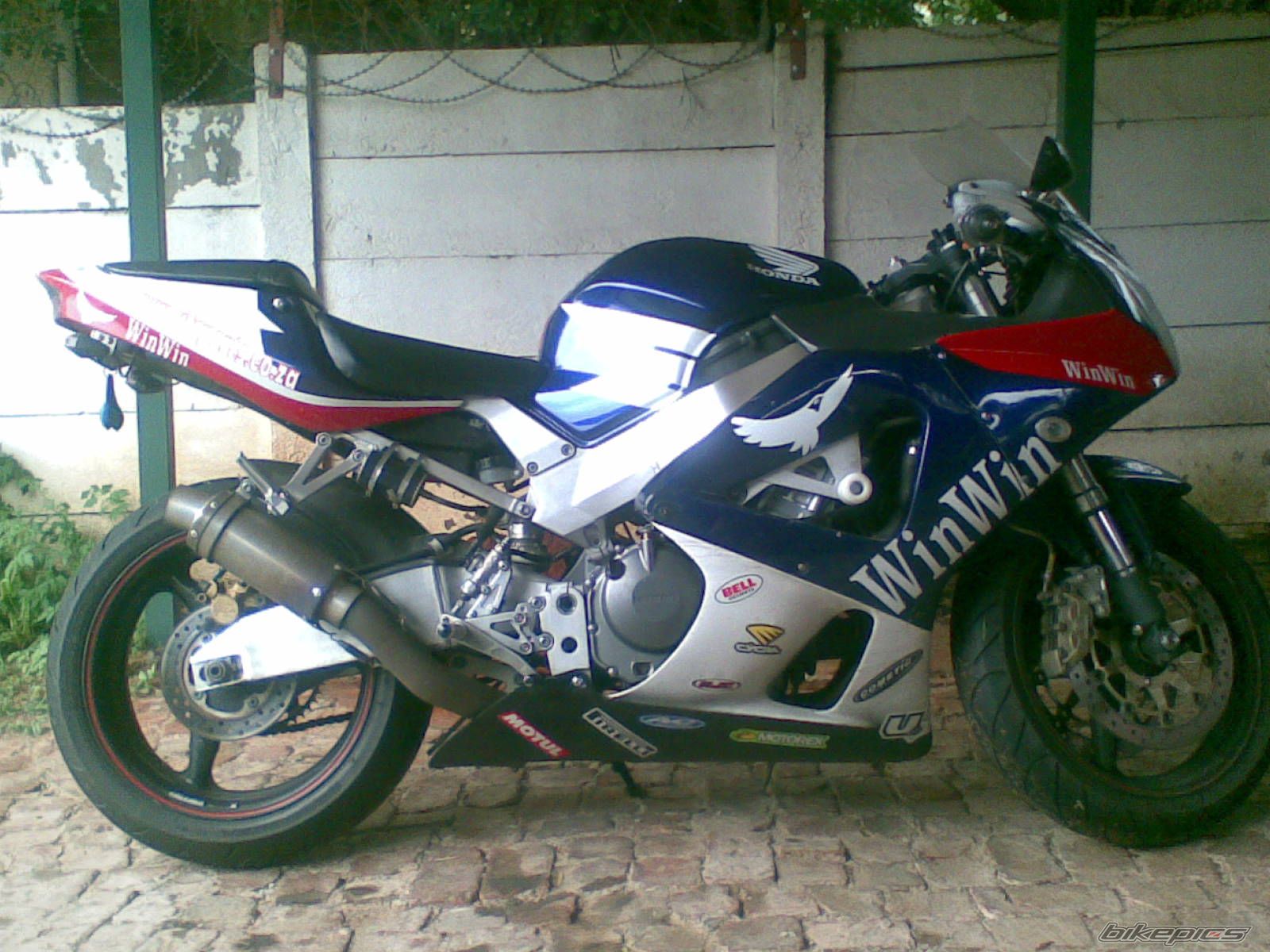 2001 HONDA CBR 900 | Picture 1302838 motorcycle photo