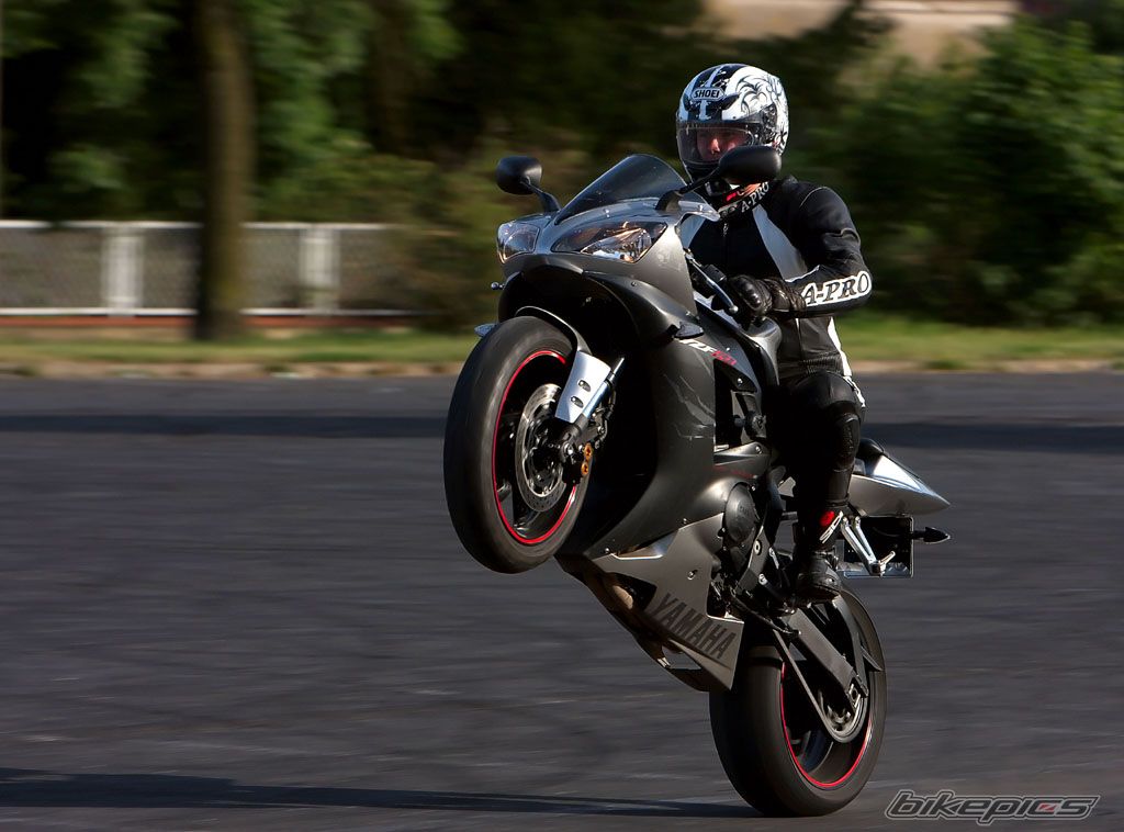 2003 YAMAHA YZF R1 | Picture 1303827 motorcycle photo