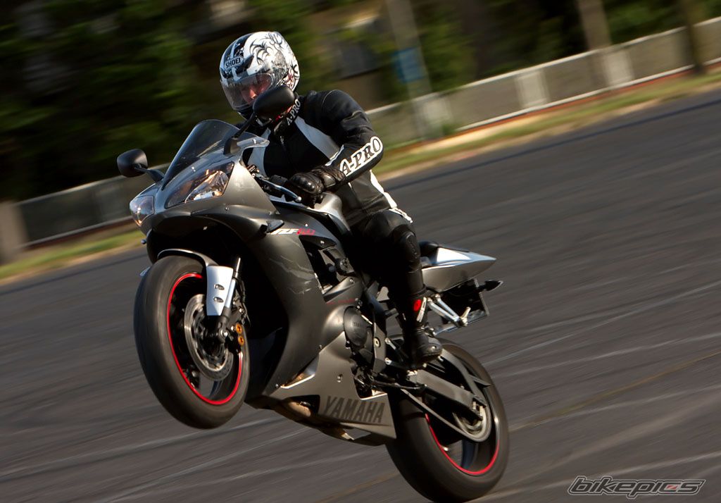 2003 YAMAHA YZF R1 | Picture 1303830 motorcycle photo