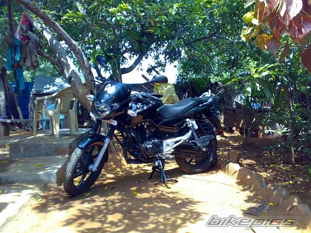 2008 BAJAJ PULSAR 180 | Picture 1304192 motorcycle photo