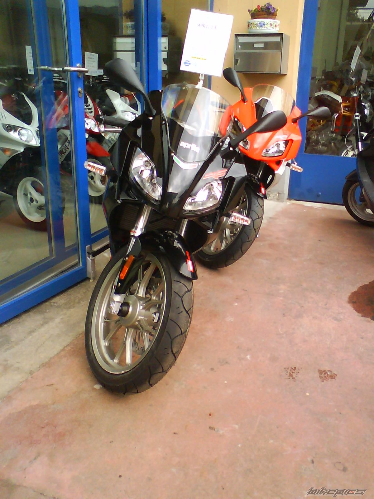 2008 APRILIA RS 50 | Picture 1304479 motorcycle photo