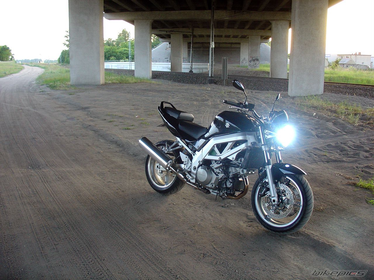 2004 SUZUKI SV 1000 | Picture 1304717 motorcycle photo