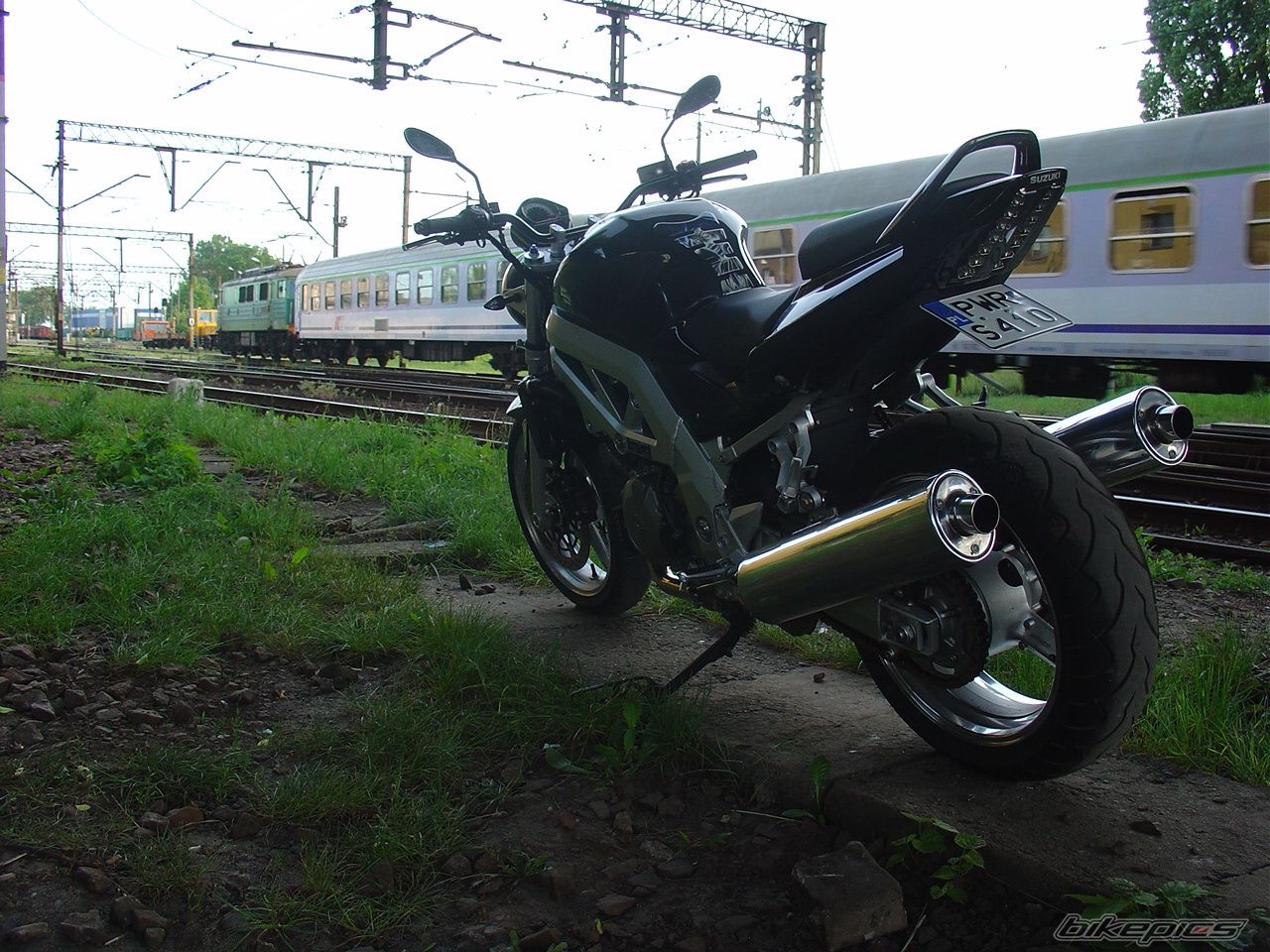 2004 SUZUKI SV 1000 | Picture 1304736 motorcycle photo