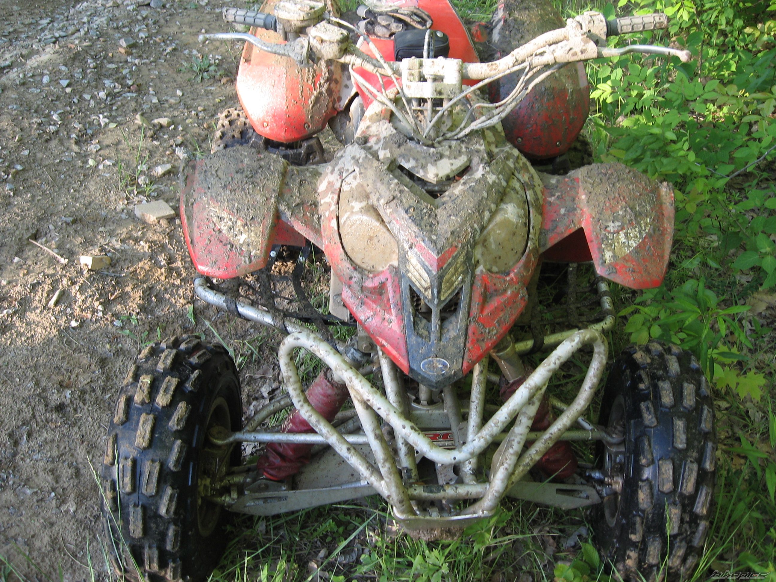 2004 POLARIS PREDATOR 500 | Picture 1304798 motorcycle photo