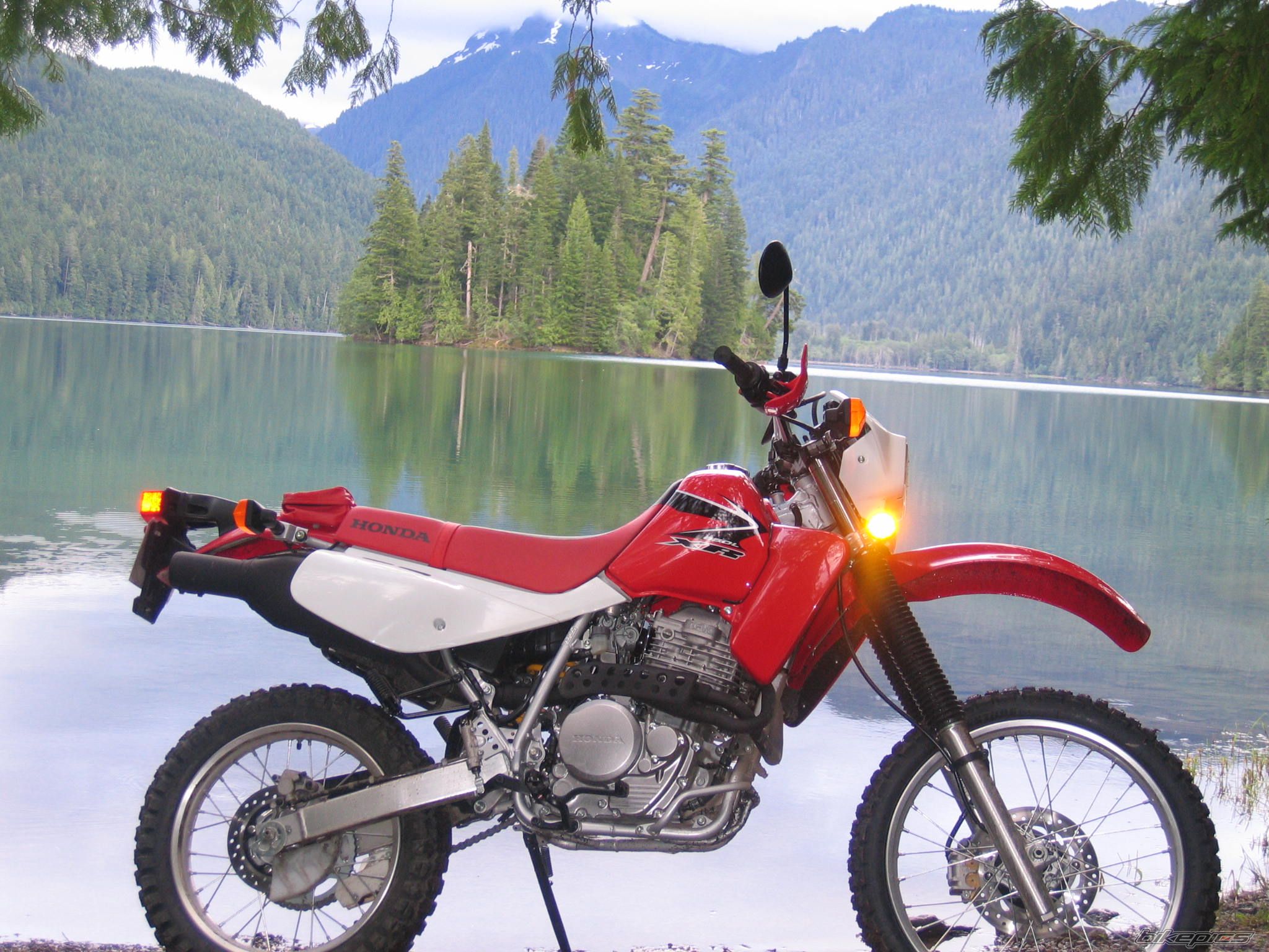 2008 HONDA XR 650 | Picture 1304818 motorcycle photo