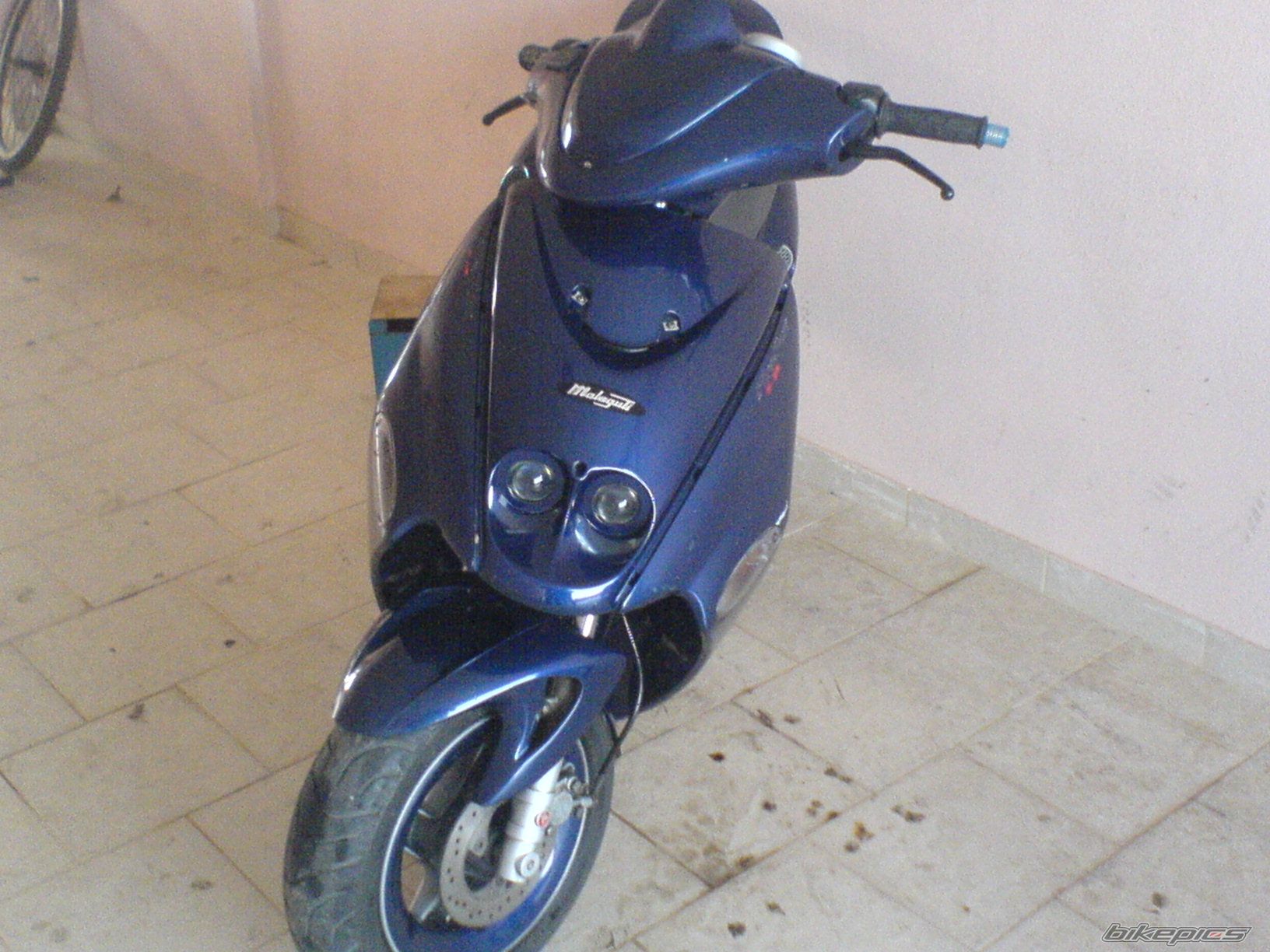2008 MALAGUTI FIREFOX 50 F15 | Picture 1304912 motorcycle photo
