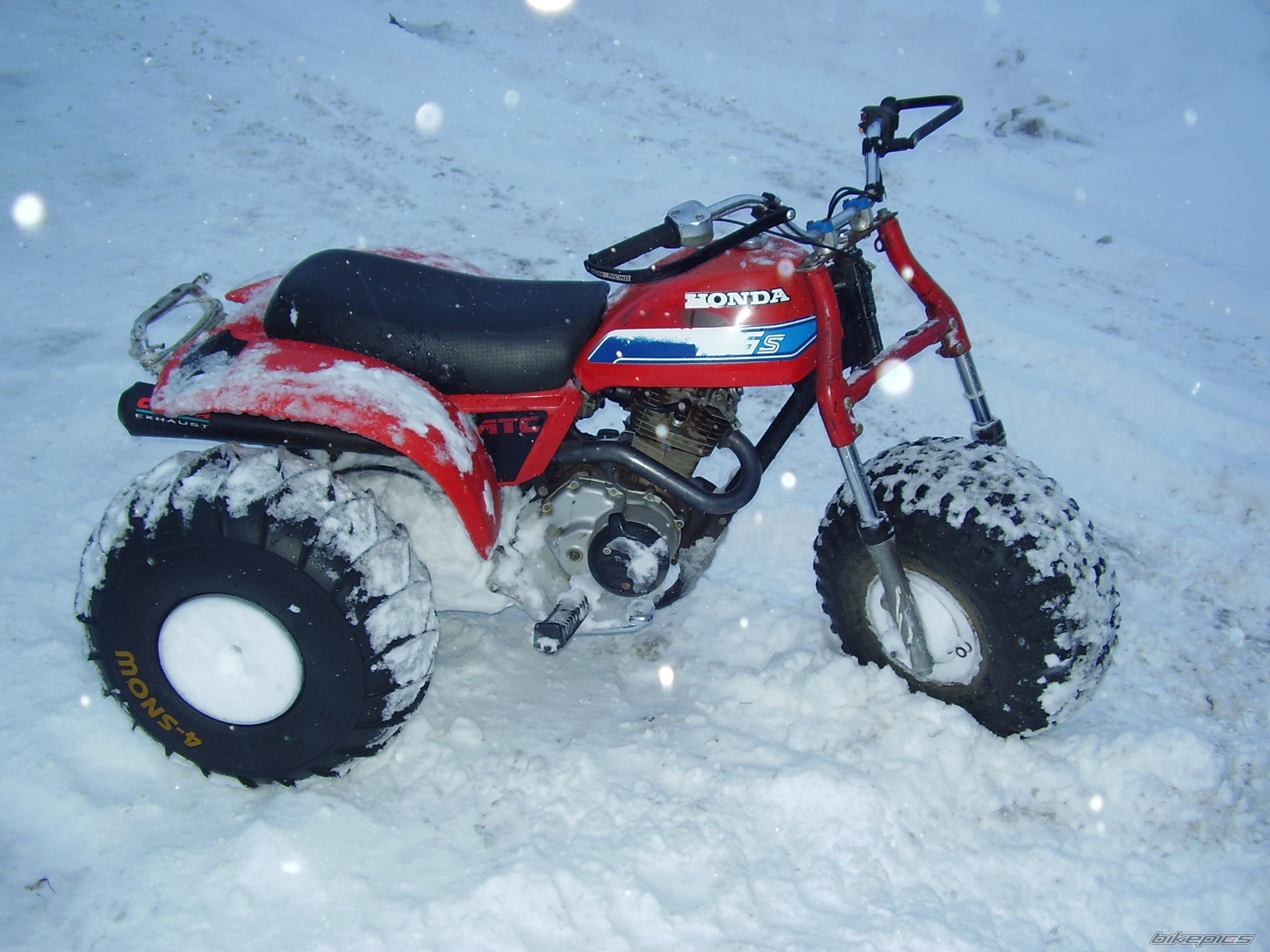1982 HONDA ATC 185 | Picture 1305266 motorcycle photo