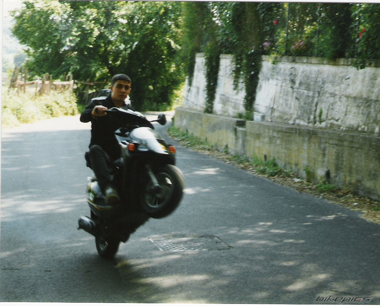 1995 MALAGUTI F 10 50 | Picture 1305941 motorcycle photo