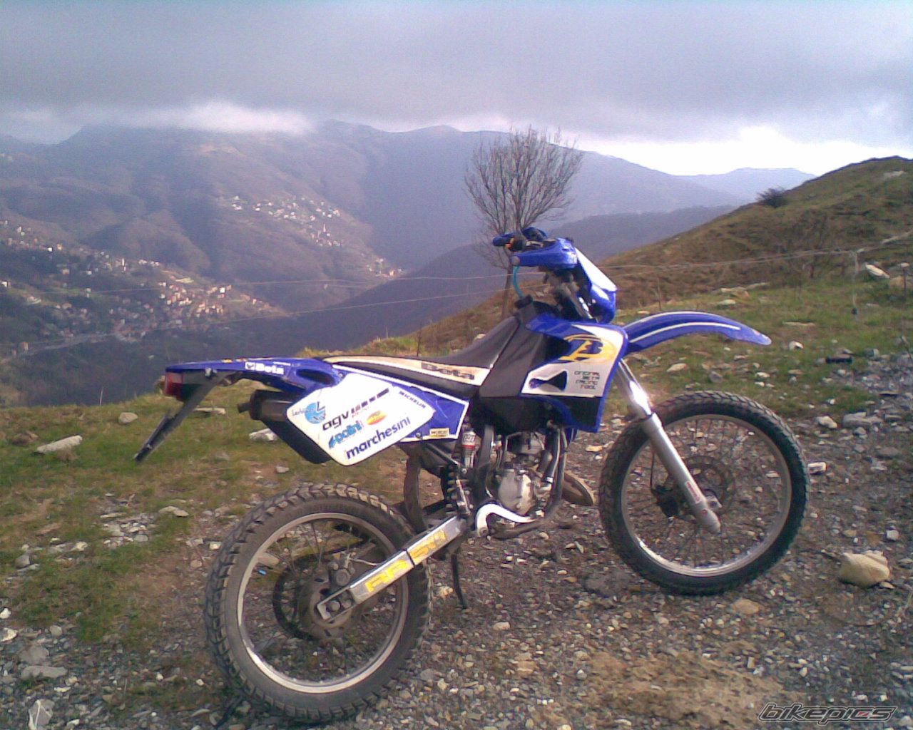 2002 BETA RR 50 | Picture 1305998 motorcycle photo