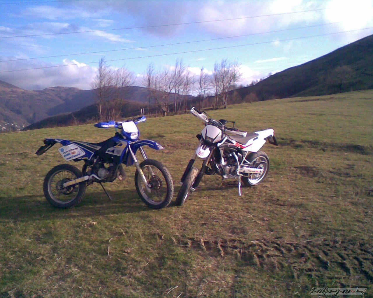 2002 BETA RR 50 | Picture 1306007 motorcycle photo