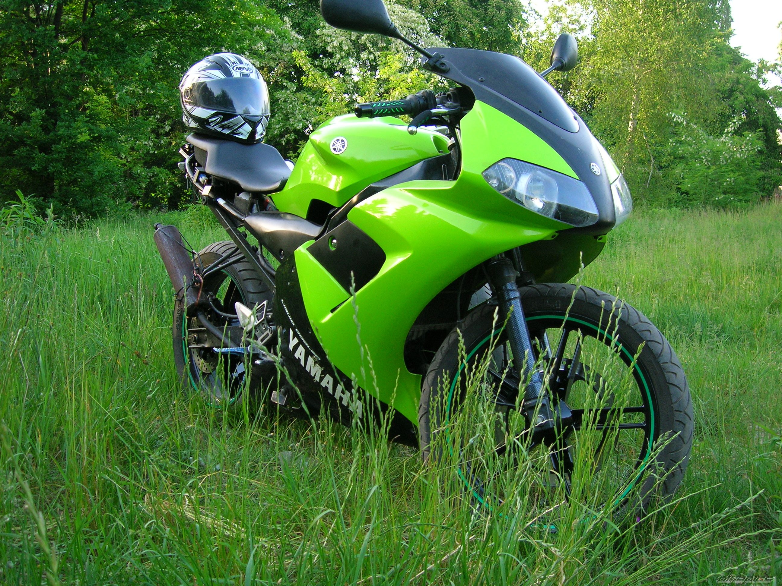 2004 YAMAHA TZR 50 | Picture 1306204 motorcycle photo