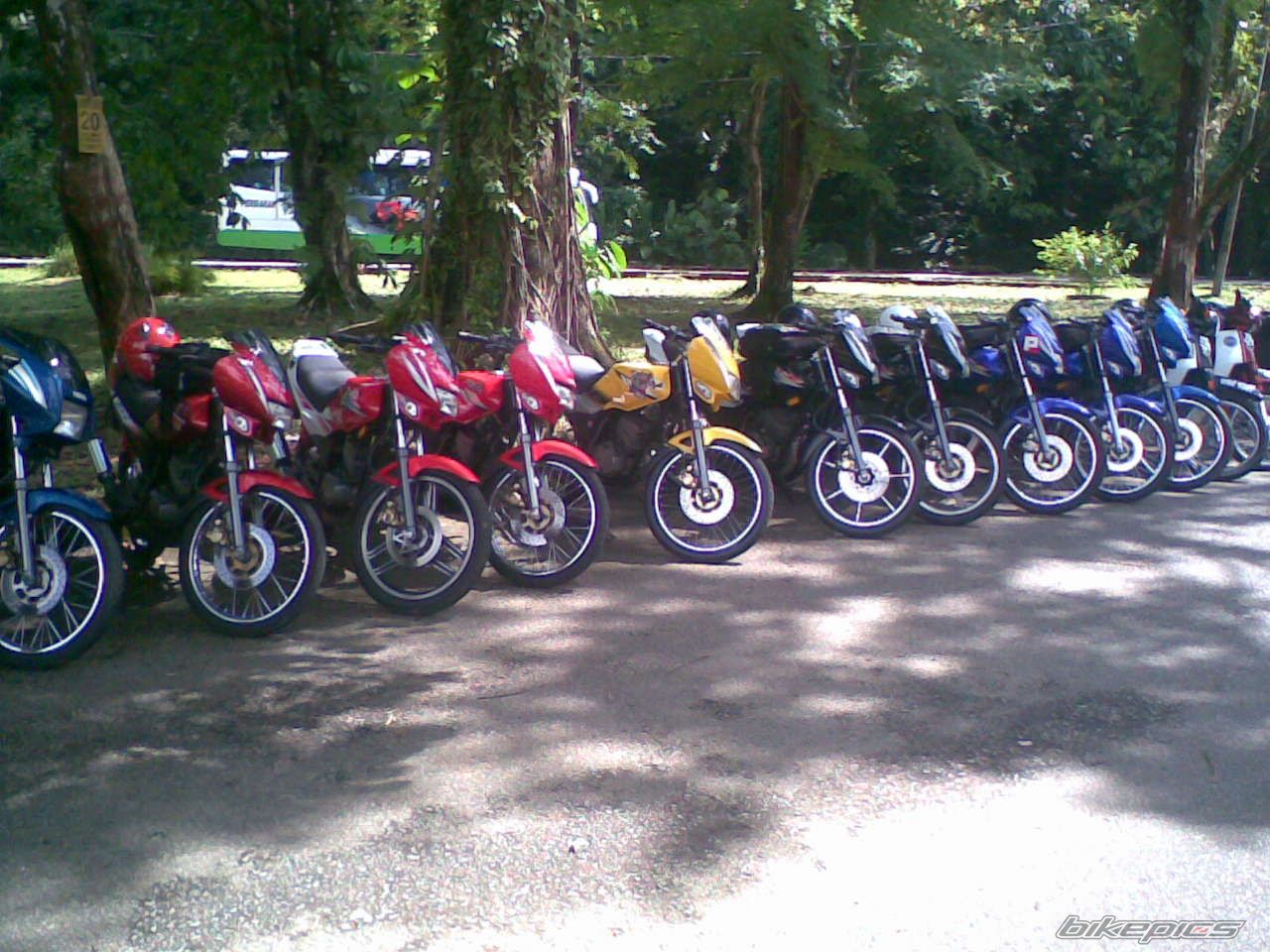2008 YAMAHA RXZ 135 | Picture 1306638 motorcycle photo