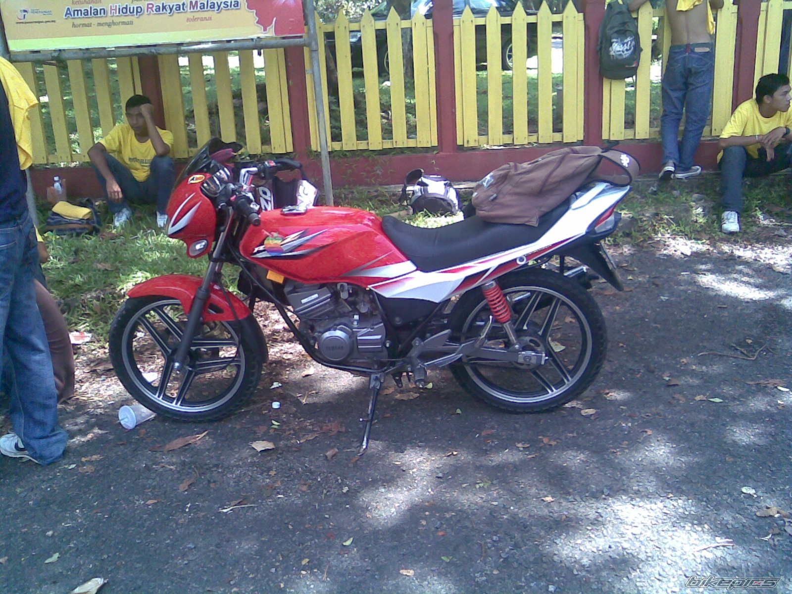 2008 YAMAHA RXZ 135 | Picture 1306643 motorcycle photo