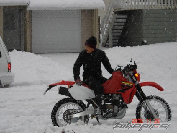 2003 HONDA XR 650 | Picture 1306676 motorcycle photo