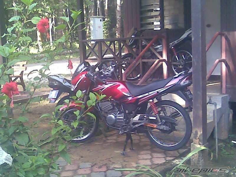 2008 YAMAHA RXZ 135 | Picture 1306680 motorcycle photo