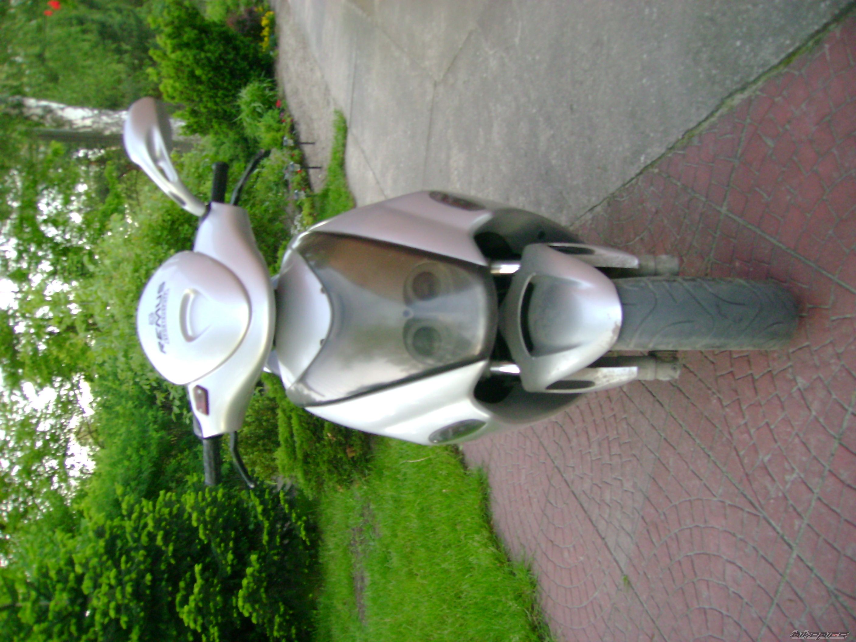 1996 MALAGUTI FIREFOX 50 F15 | Picture 1306733 motorcycle photo