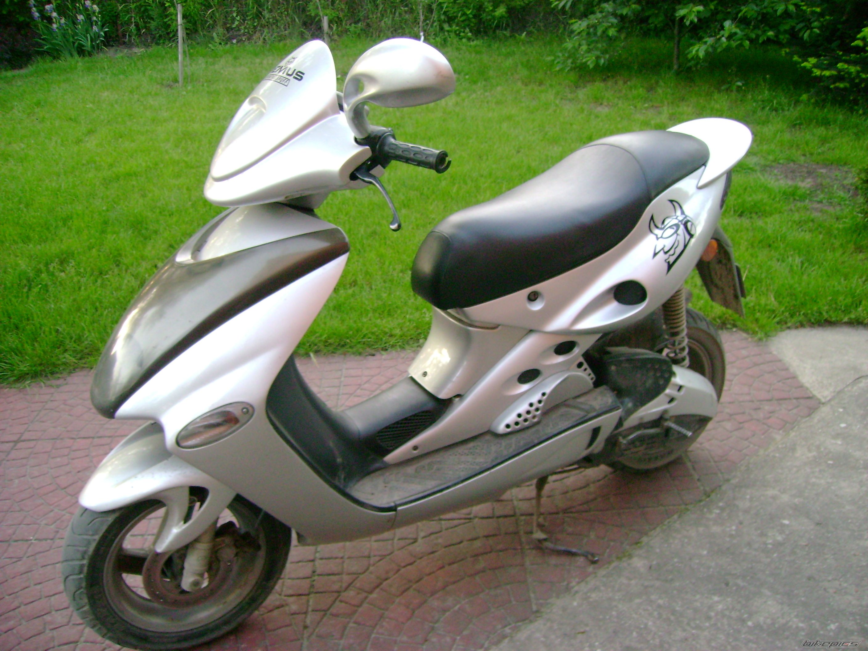 1996 MALAGUTI FIREFOX 50 F15 | Picture 1306742 motorcycle photo
