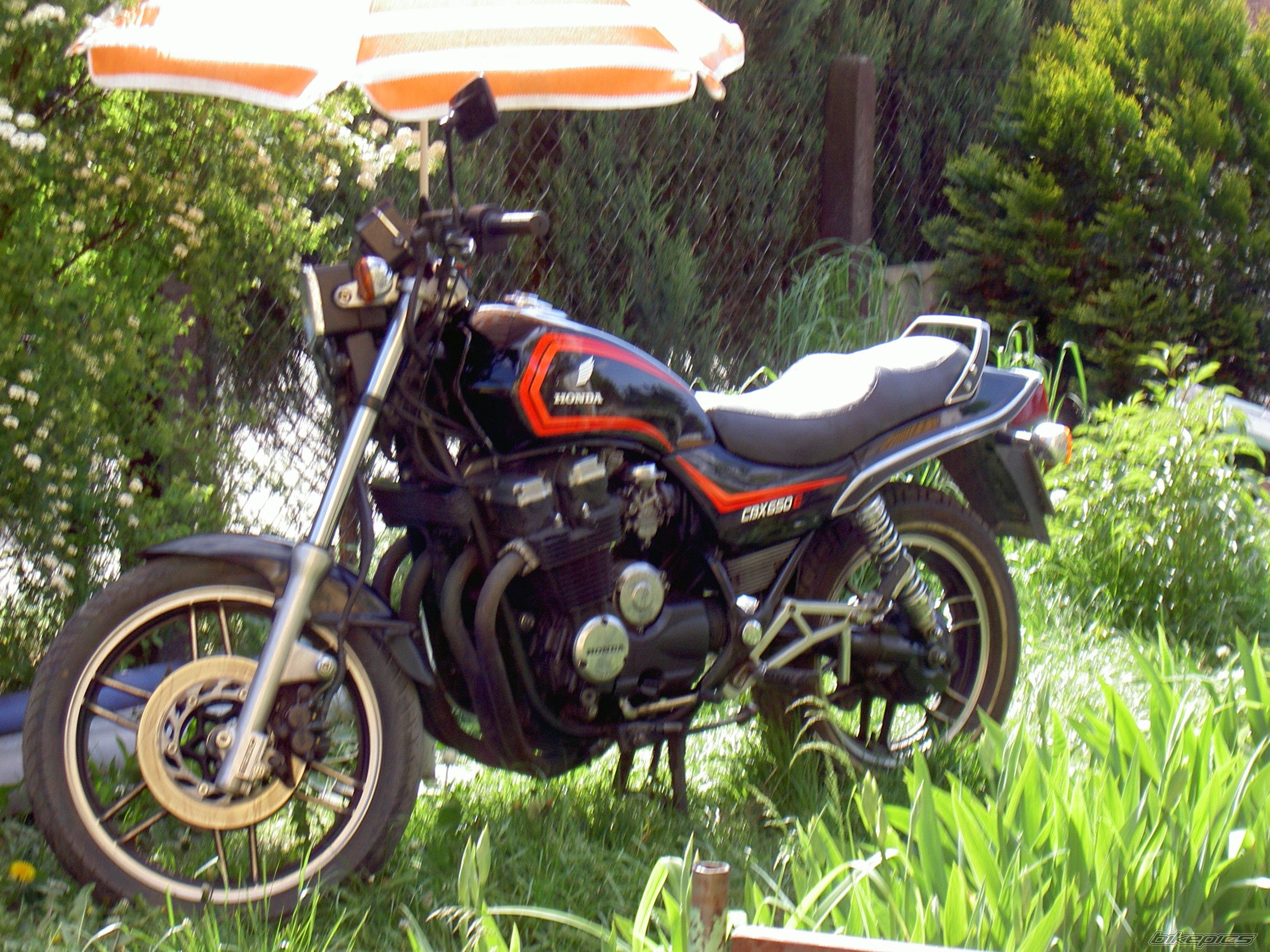1983 HONDA CBX 650 | Picture 1306842 motorcycle photo
