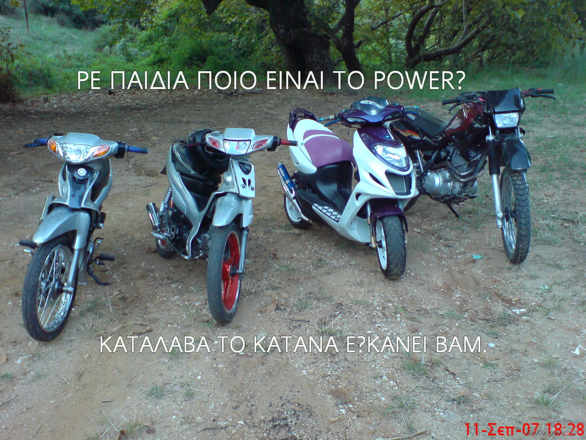2008 SUZUKI AY 50 | Picture 1307006 motorcycle photo