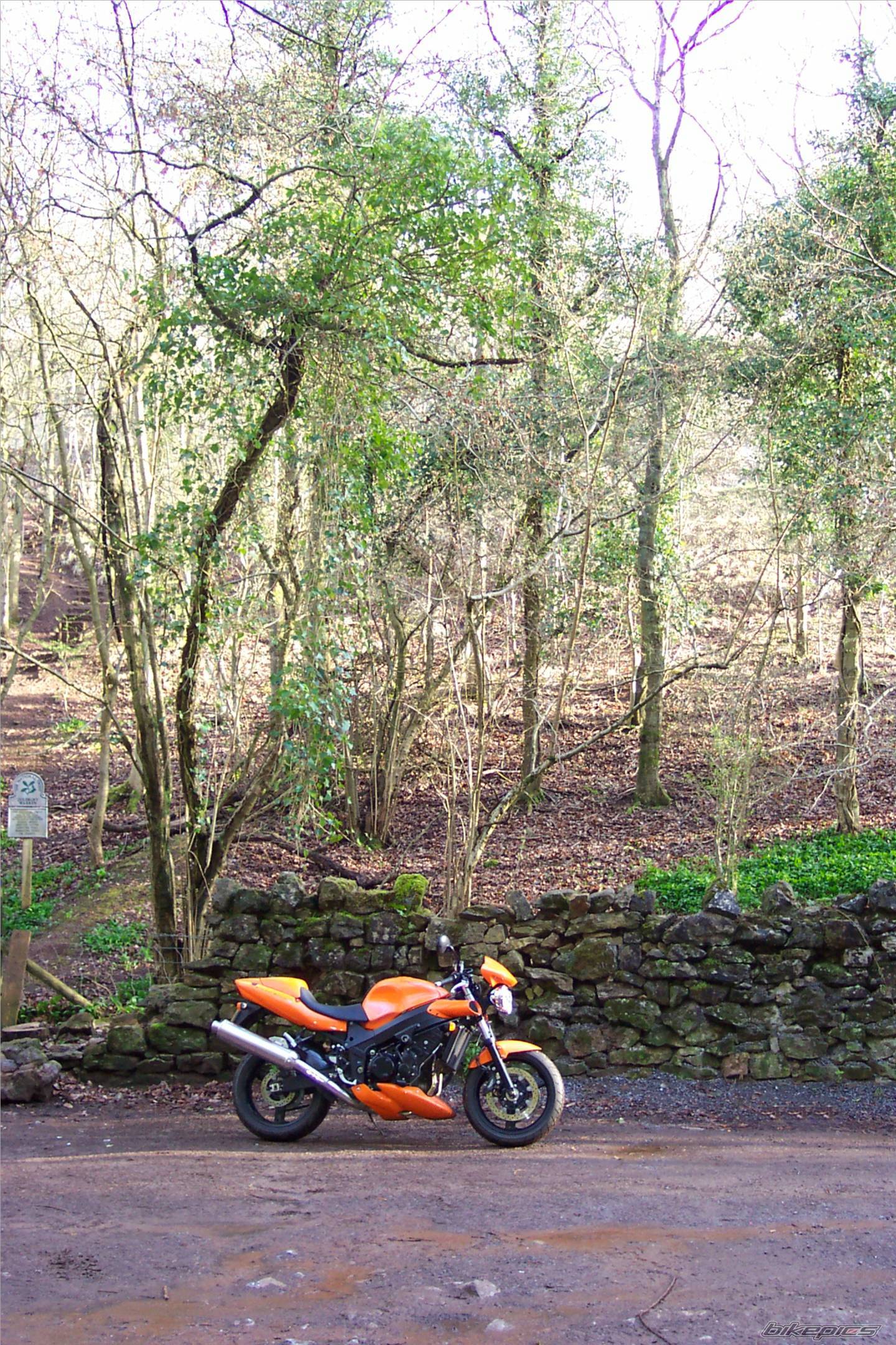2003 TRIUMPH SPEED FOUR | Picture 130721 motorcycle photo