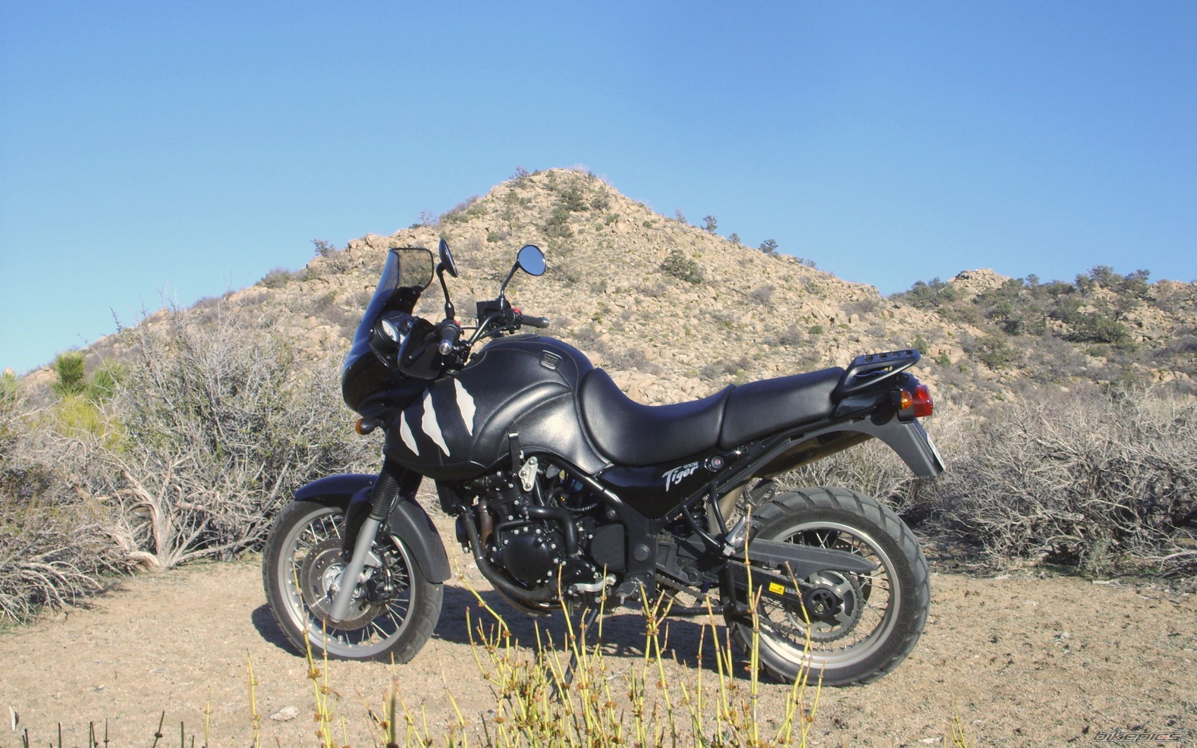 2002 TRIUMPH TIGER | Picture 1307437 motorcycle photo