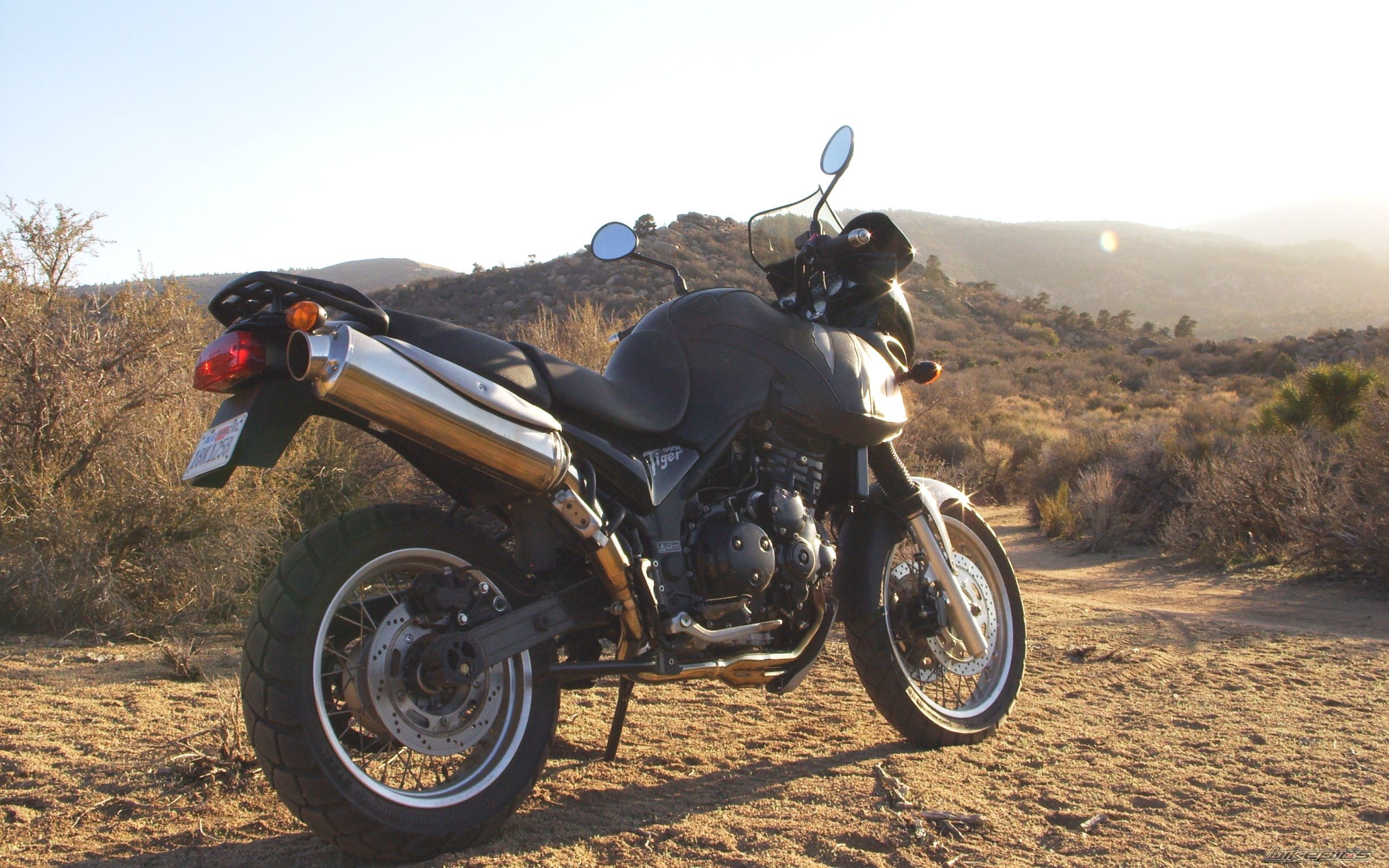 2002 TRIUMPH TIGER | Picture 1307439 motorcycle photo