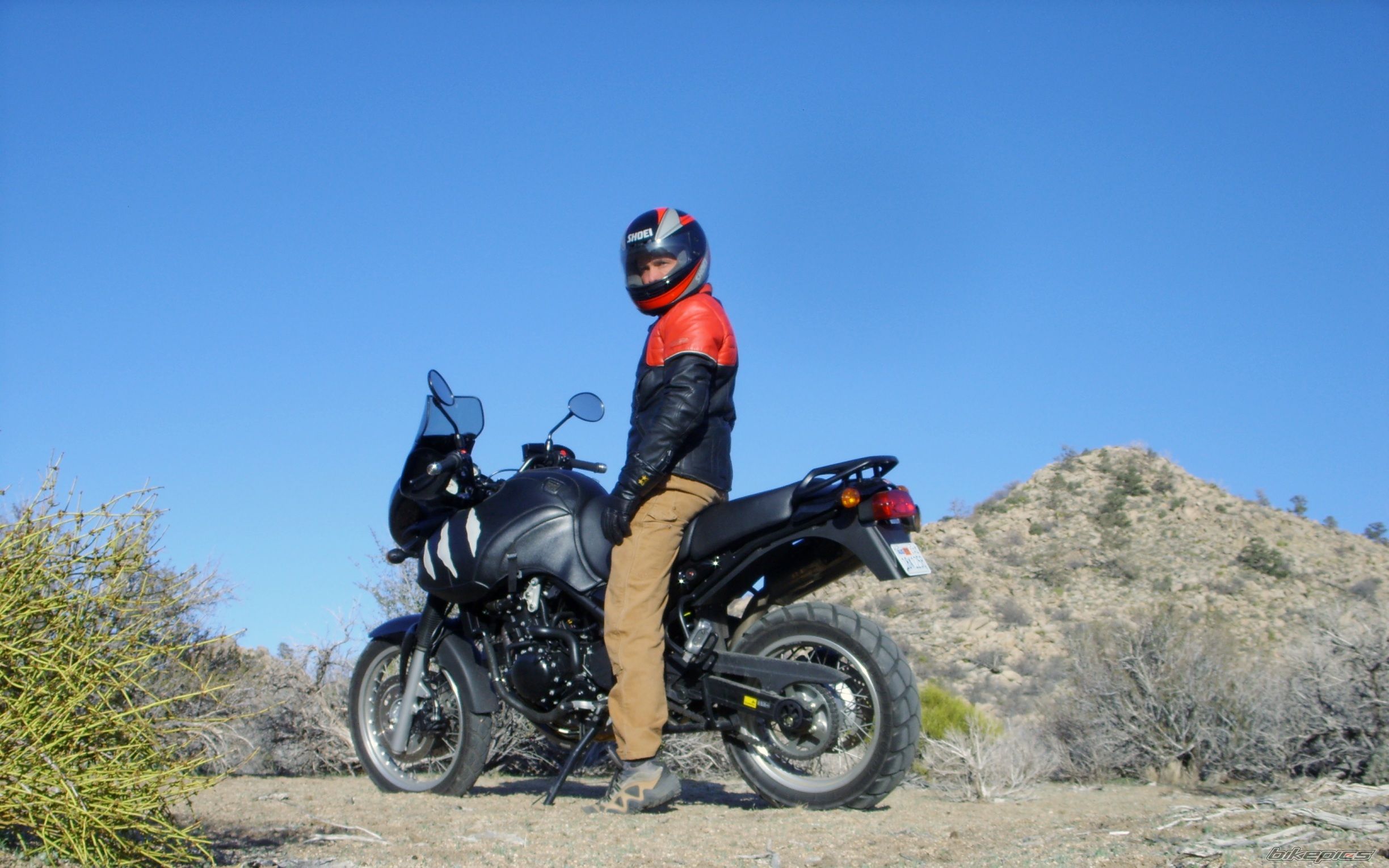 2002 TRIUMPH TIGER | Picture 1307442 motorcycle photo