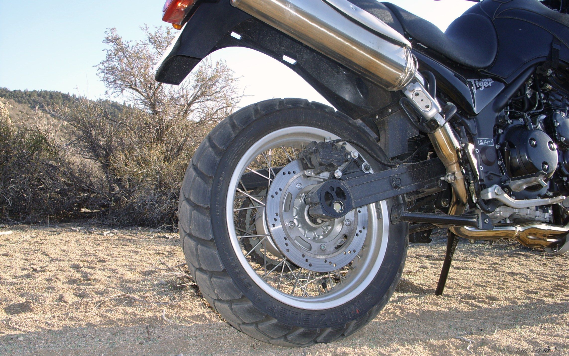 2002 TRIUMPH TIGER | Picture 1307445 motorcycle photo