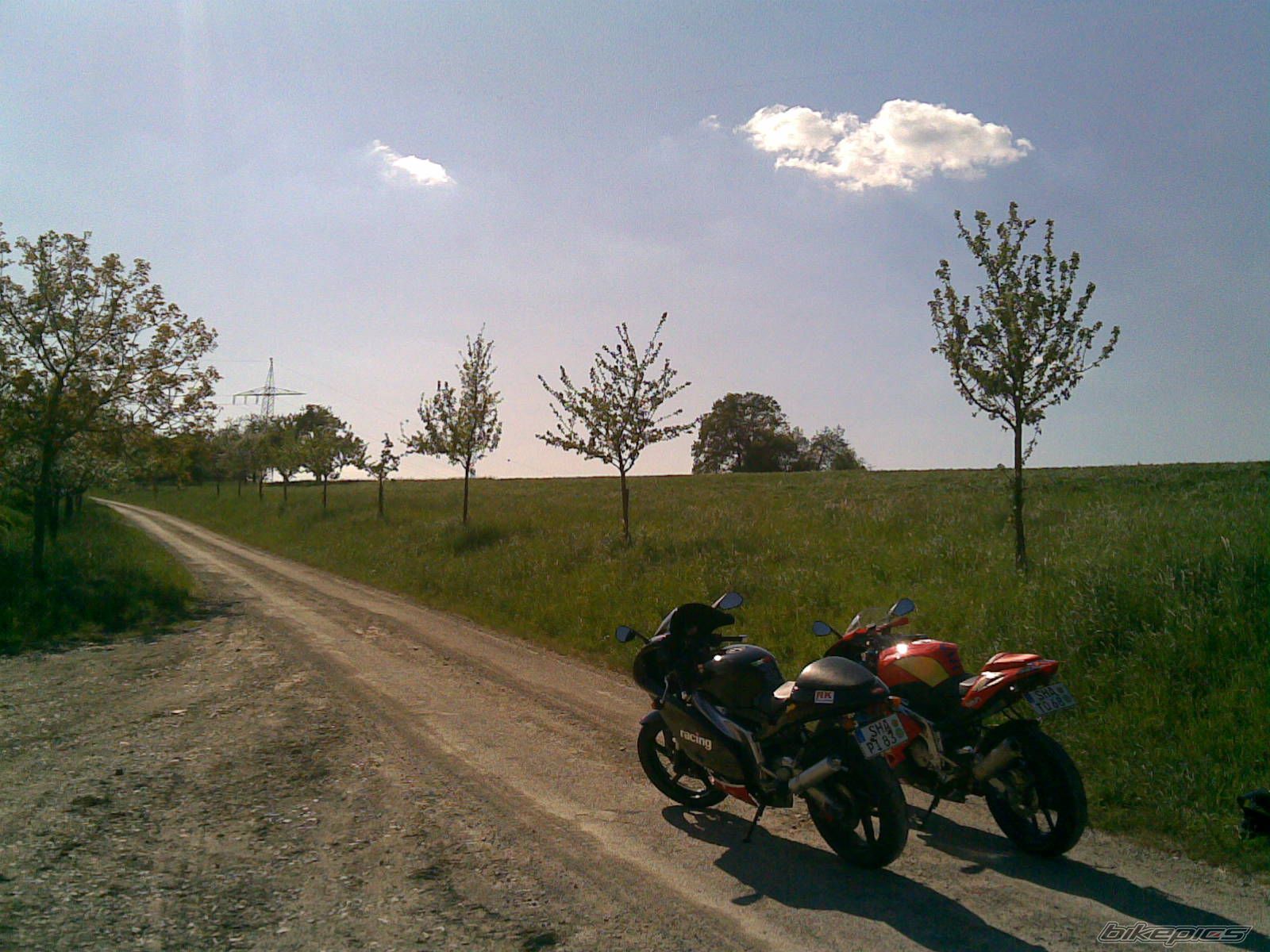 2007 APRILIA RS 125 | Picture 1307517 motorcycle photo