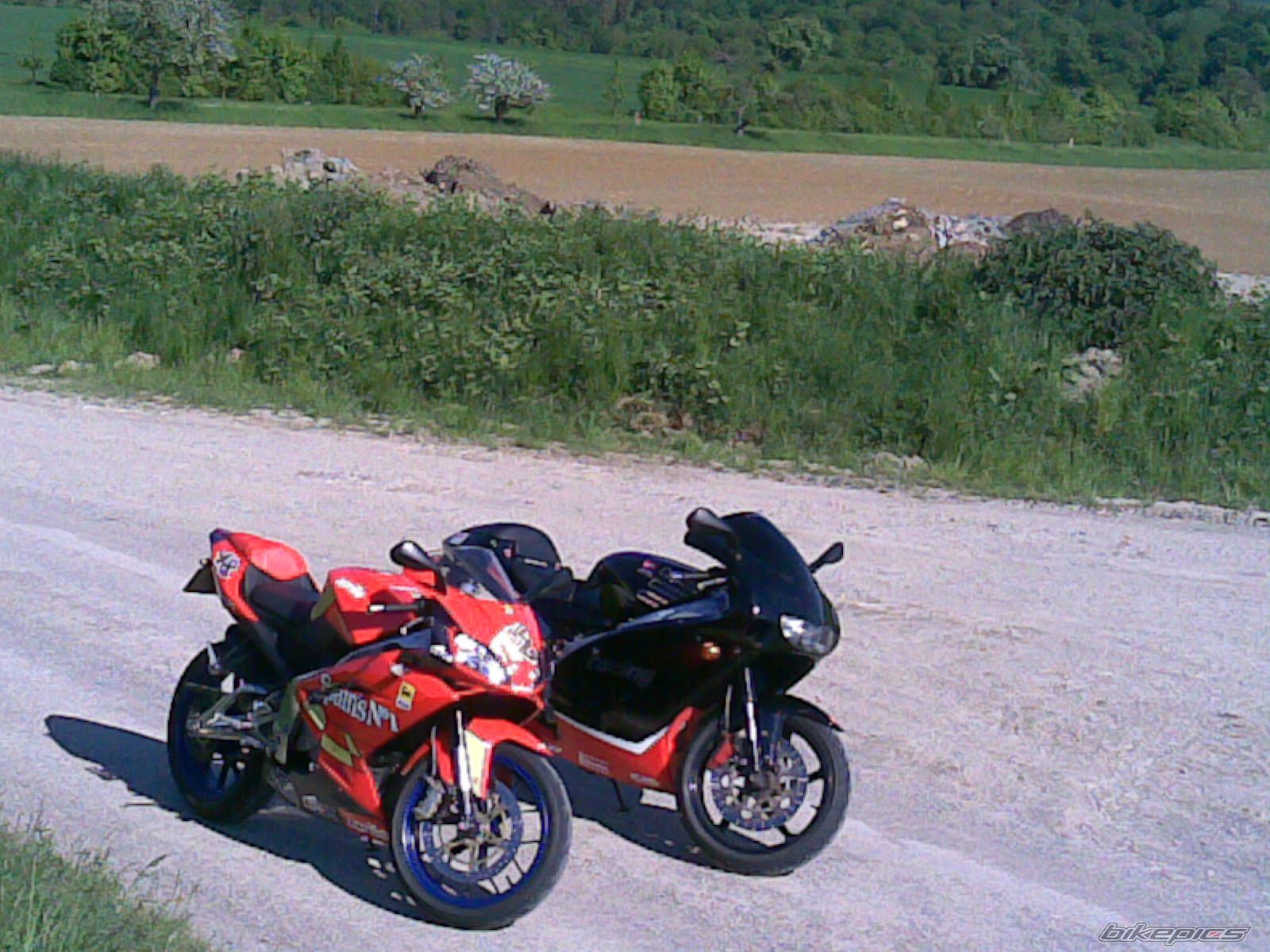 2007 APRILIA RS 125 | Picture 1307522 motorcycle photo